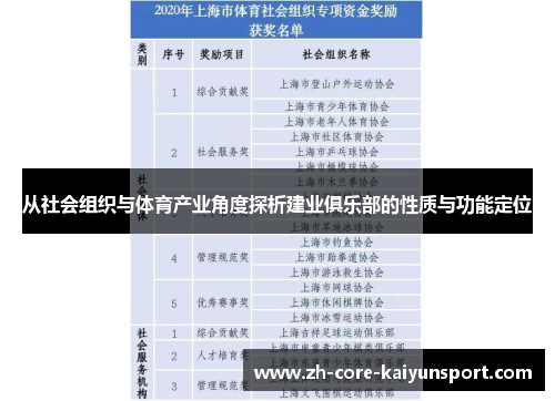 从社会组织与体育产业角度探析建业俱乐部的性质与功能定位