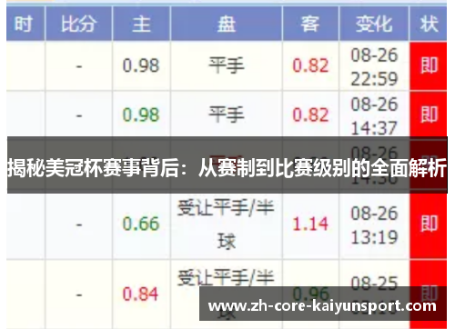揭秘美冠杯赛事背后：从赛制到比赛级别的全面解析