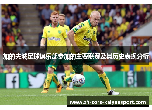 加的夫城足球俱乐部参加的主要联赛及其历史表现分析