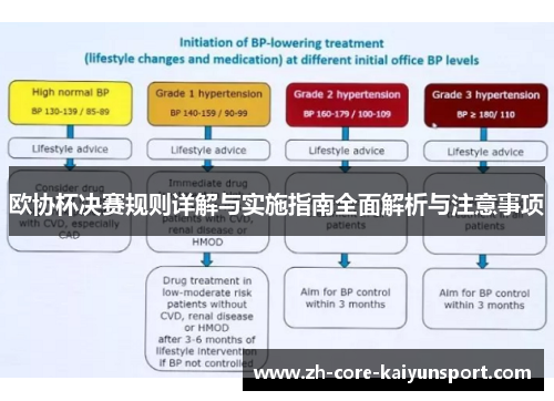 欧协杯决赛规则详解与实施指南全面解析与注意事项 欧协杯决赛规则详解与实施指南全面解析与注意事项